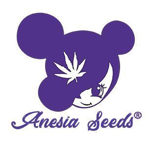 Anesia Seeds Logo