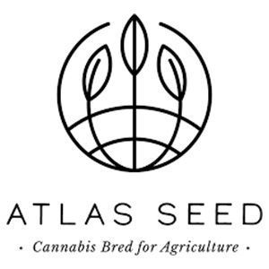 Atlas Seeds Logo