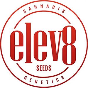 Elev8 Seeds Logo