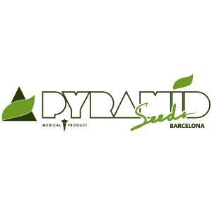 Pyramid Seeds Logo