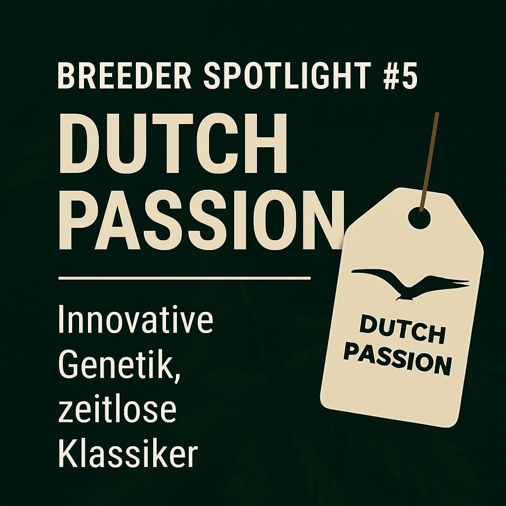 Breeder Spotlight #5: Dutch Passion