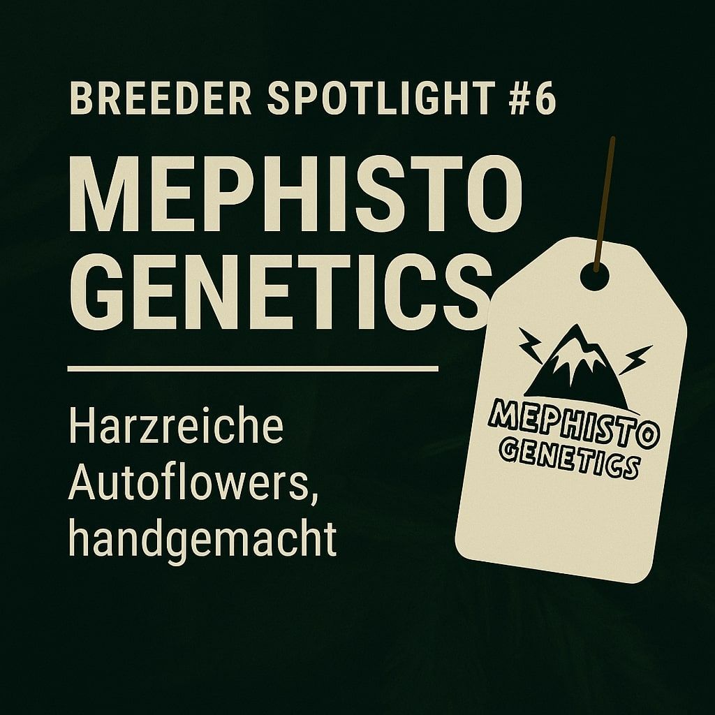 Breeder Spotlight #6: Mephisto Genetics