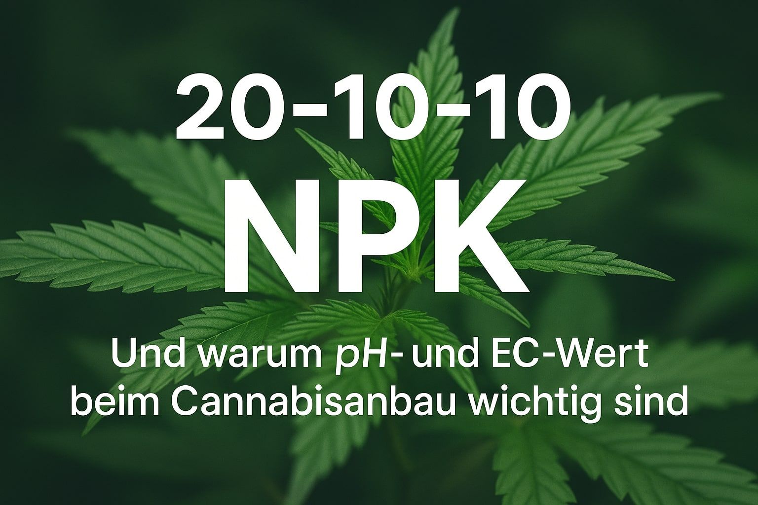 Was bedeutet NPK? – Und warum pH- und EC-Wert beim Cannabisanbau wichtig sind