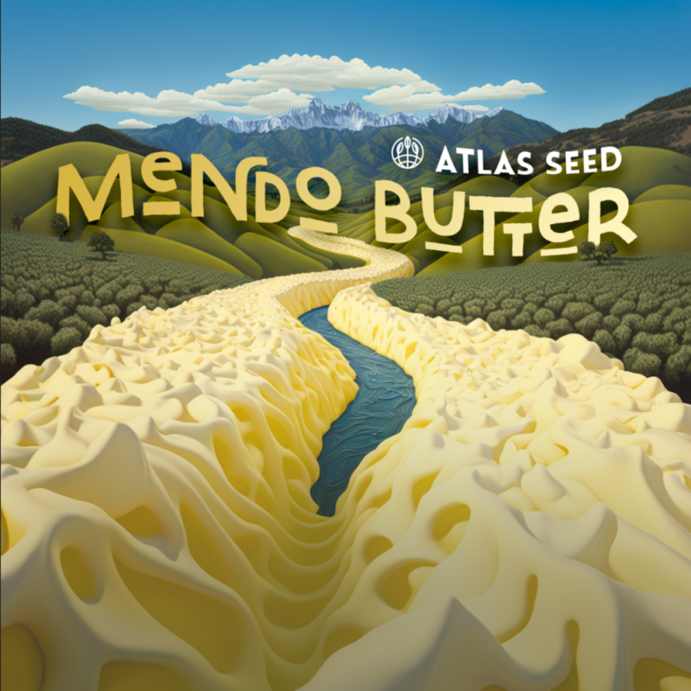 Atlas Seeds Mendo Butter Feminisierte Hanfsamen