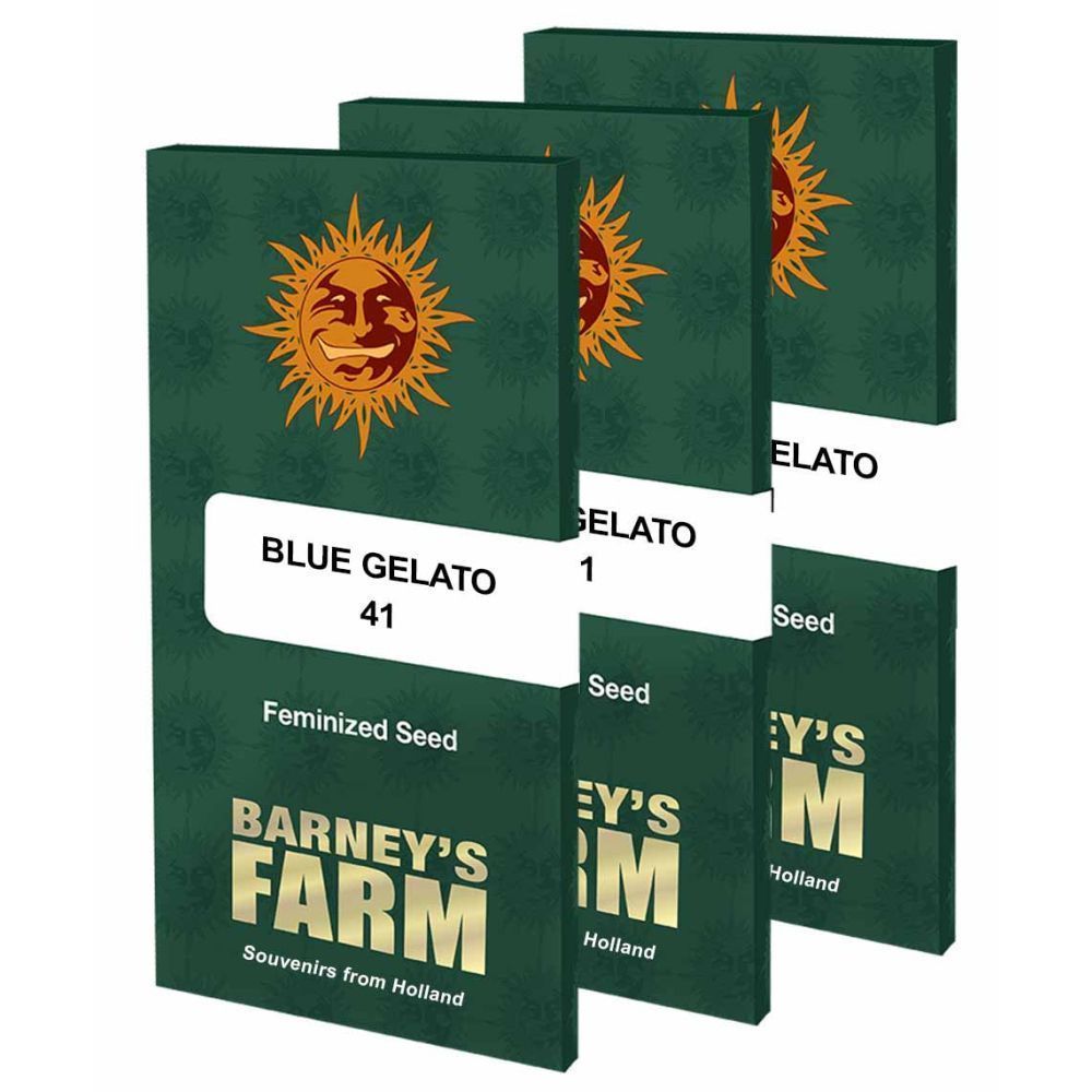 Barneys Farm Blue Gelato 41 Hanfsamen Verpackung