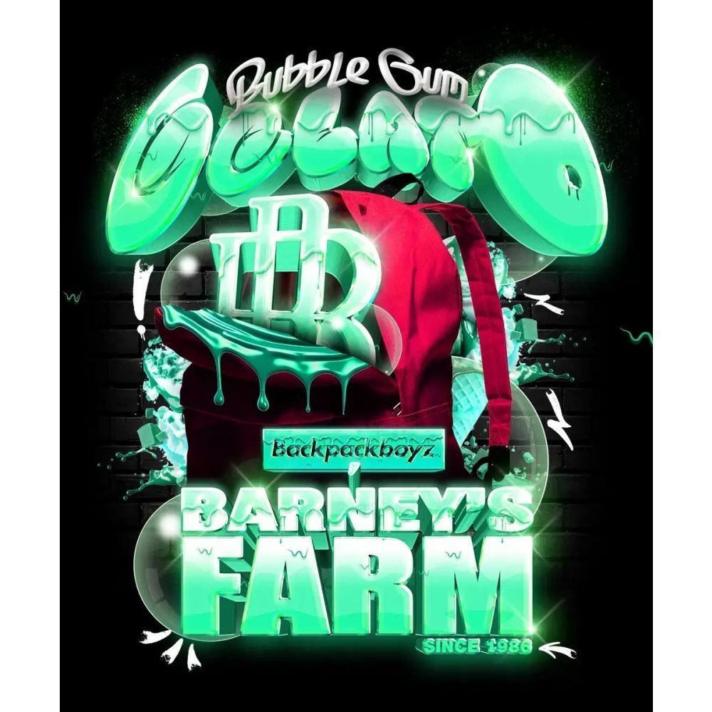 Barney's Farm Bubblegum Gelato Feminsierte Hanfsamen