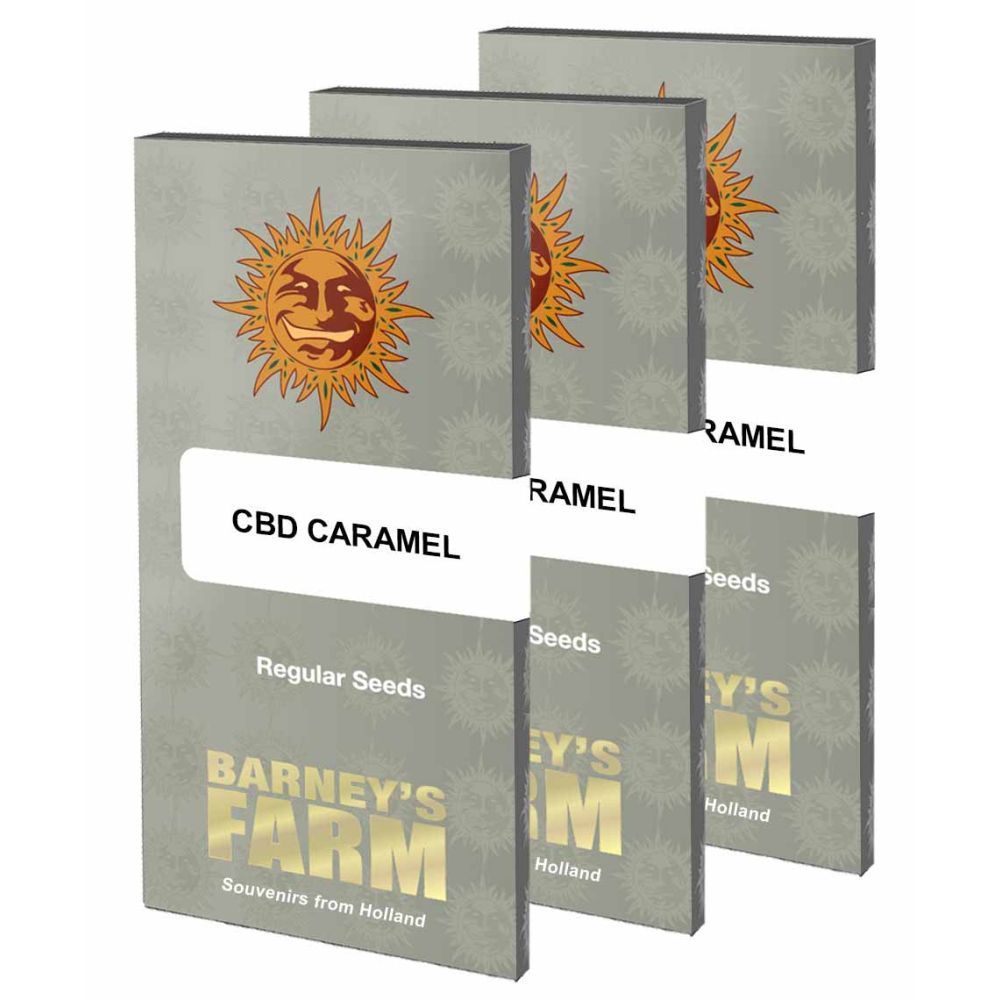 Barneys Farm CBD Cramel Regulär Hanfsamen Verpackung