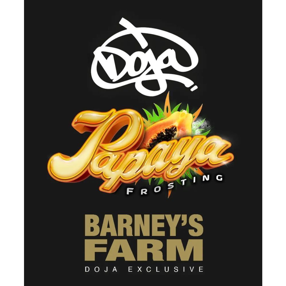 Barneys Farm Papaya Frosting Feminisierte Hanfsamen