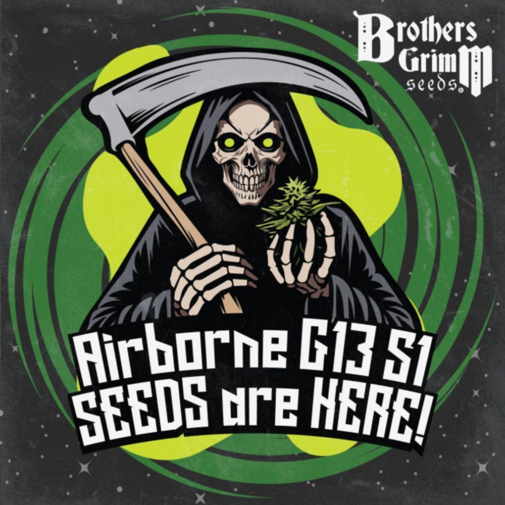 Brother Grimm Seeds Airborne G14 S1 Feminisierte Hanfsamen