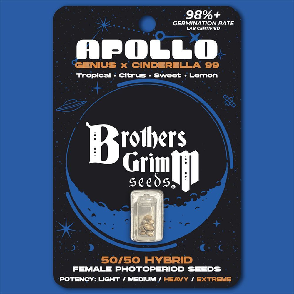 Brother Grimm Seeds Apollo Feminisierte Hanfsamen Verpackung
