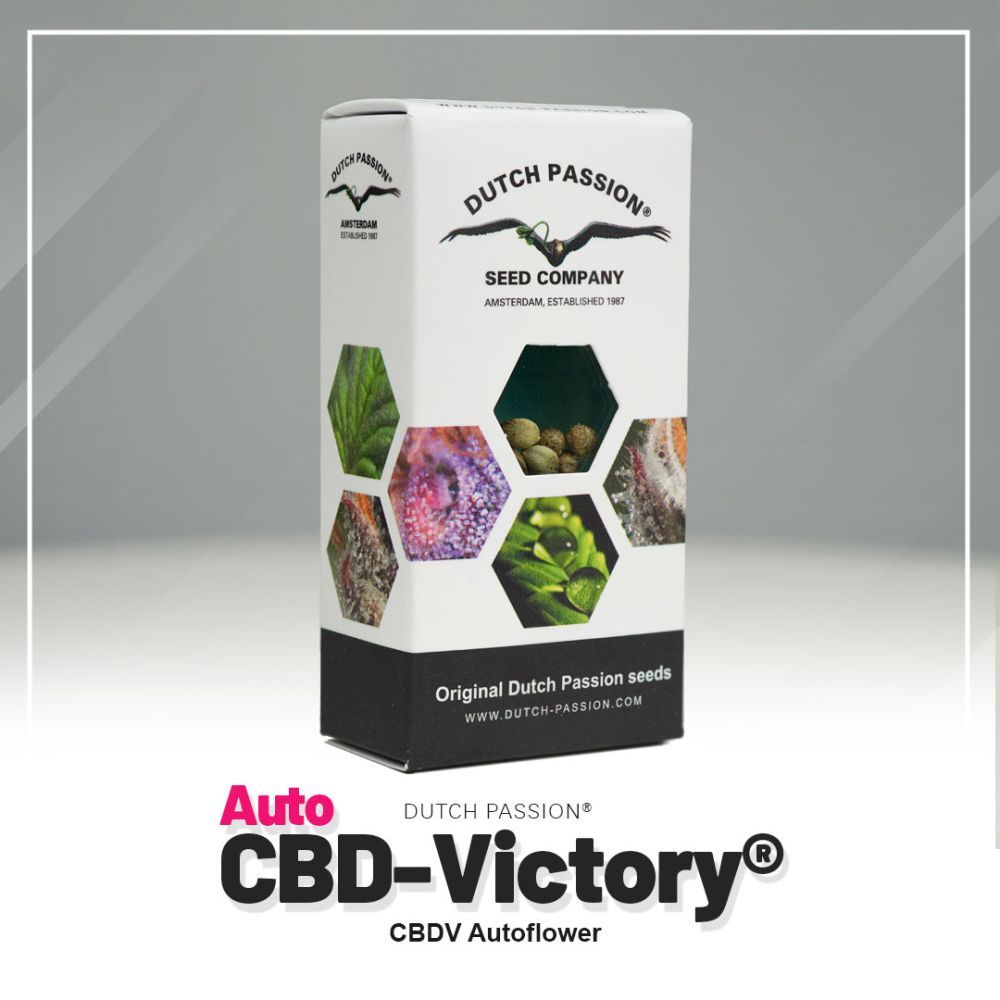 Dutch Passion CBD Auto Victory Hanfsamen Verpackung