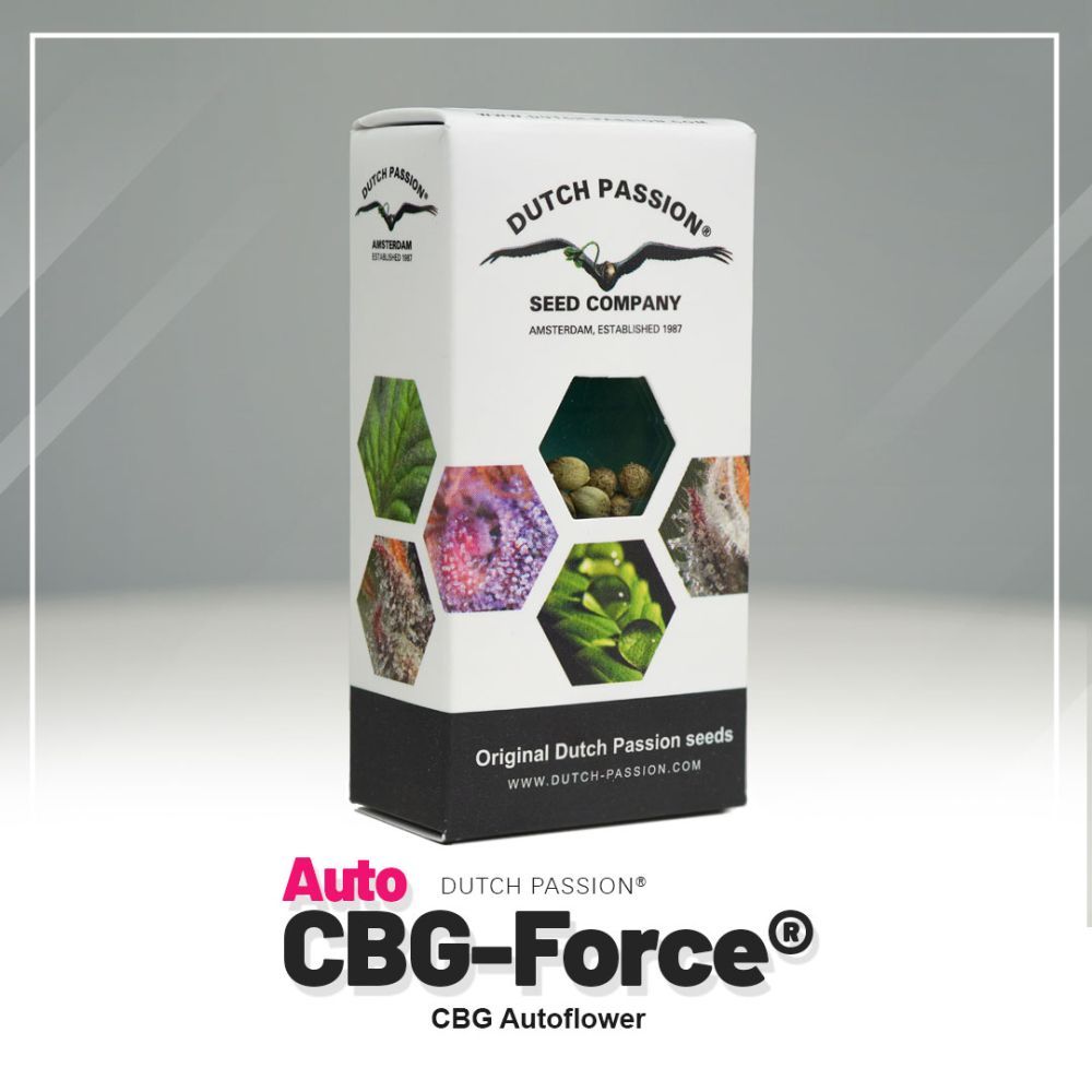 Dutch Passion CBG Force Auto Hanfsamen Verpackung