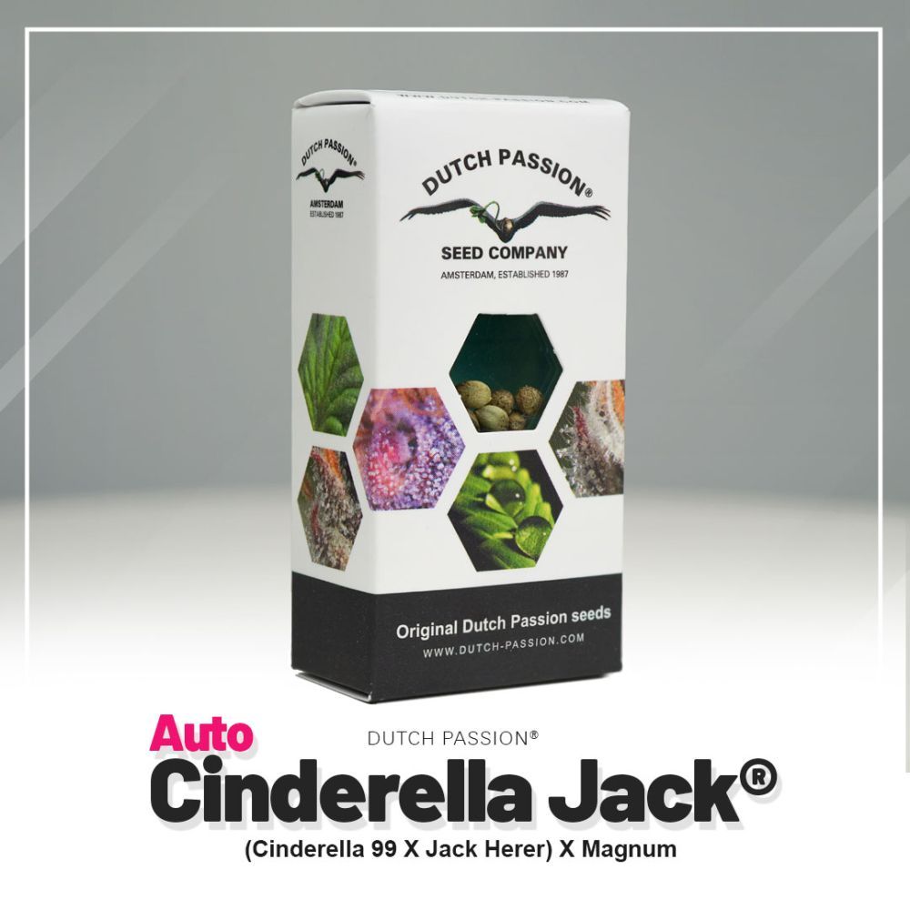 Dutch Passion Auto Cinderella Jack Hanfsamen Verpackung