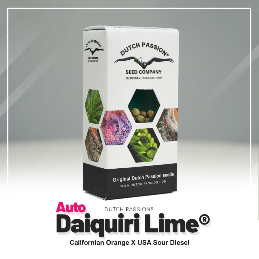Dutch Passion Auto Daiquiri Lime Verpackung