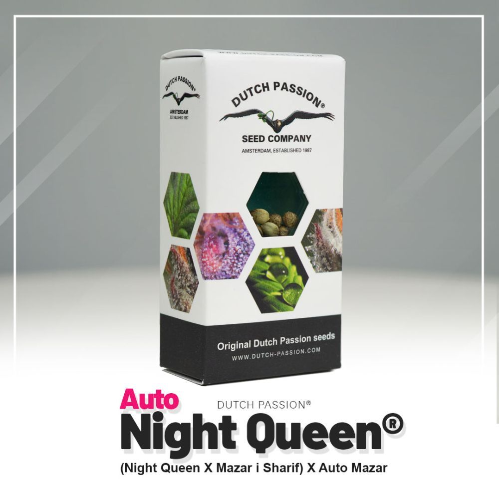 Dutch Passion Auto Night Queen Hanfsamen Verpackung