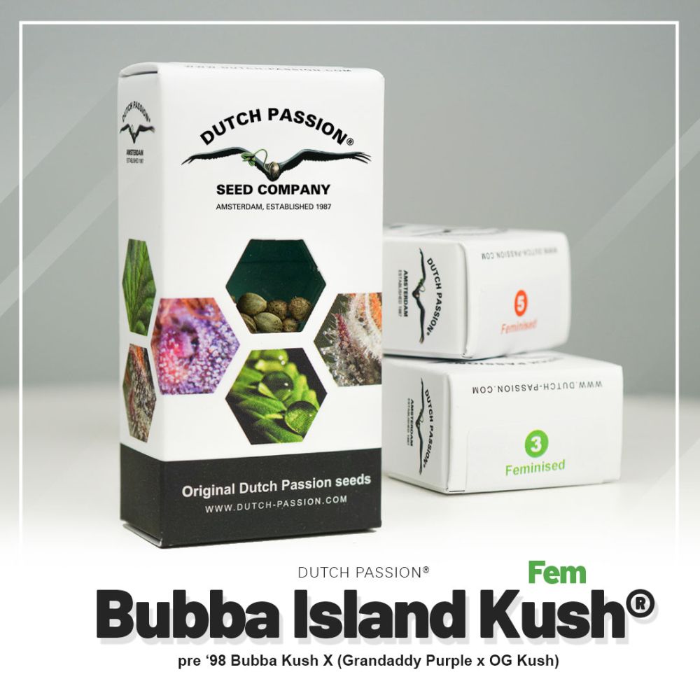 Dutch Passion Bubba Island Kush Hanfsamen Verpackung