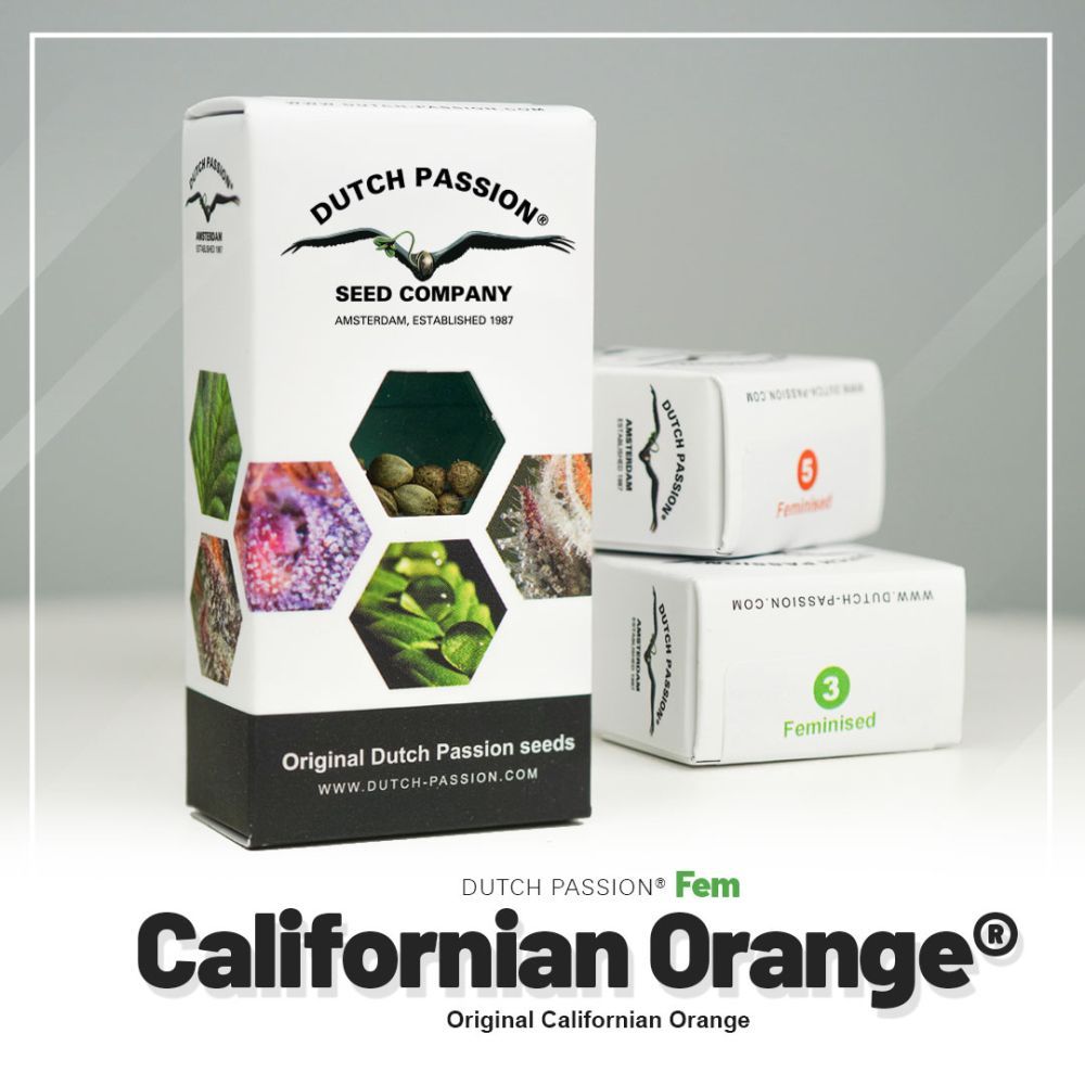 Dutch Passion Californian Orange Hanfsamen Verpackung