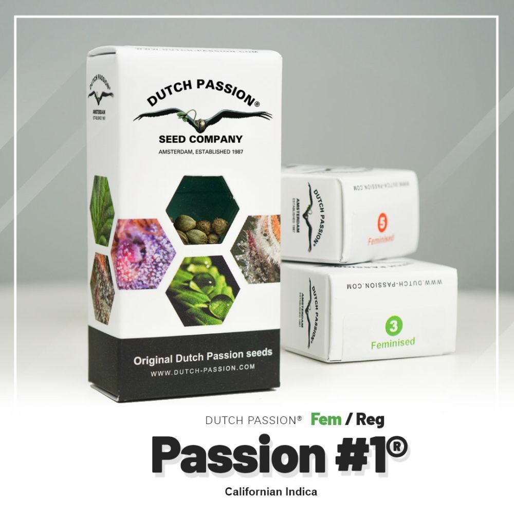 Dutch Passion Passion #1 Verpackung