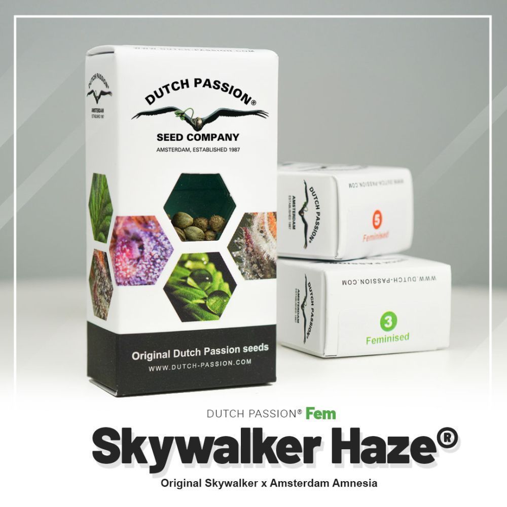 Dutch Passion Skywalker Haze Hanfpflanze Verpackung