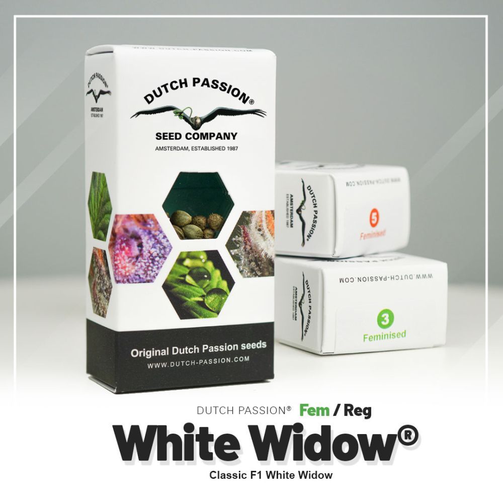Dutch Passion White Widow Hanfpflanze Verpackung