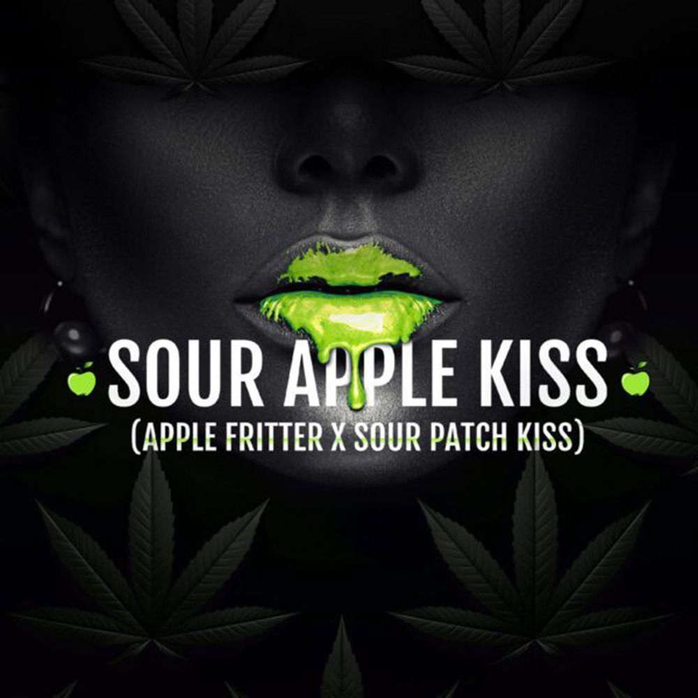 Elev8 Seeds Sour Apple Kiss Feminisierte Hanfsamen