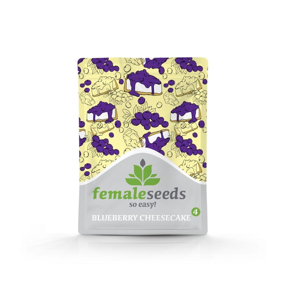 Female Seeds Blueberry Cheesecake Feminisierte Hanfsamen Verpackung
