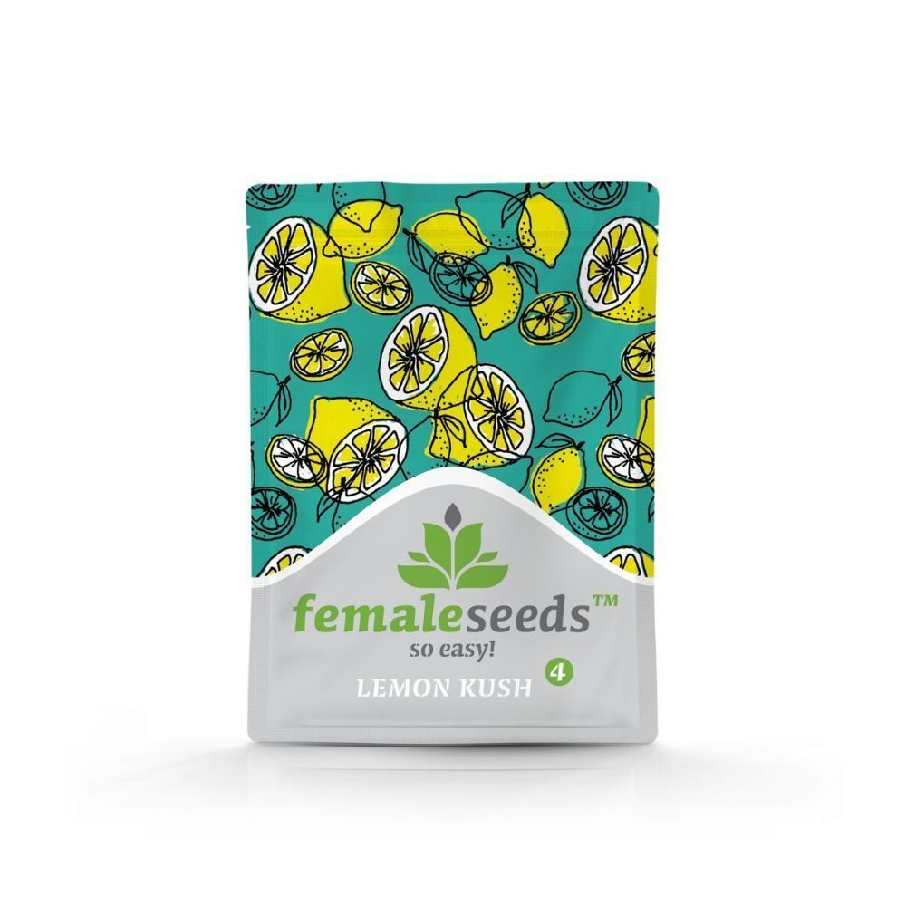 Female Seeds Lemon Kush Feminisierte Hanfsamen Verpackung