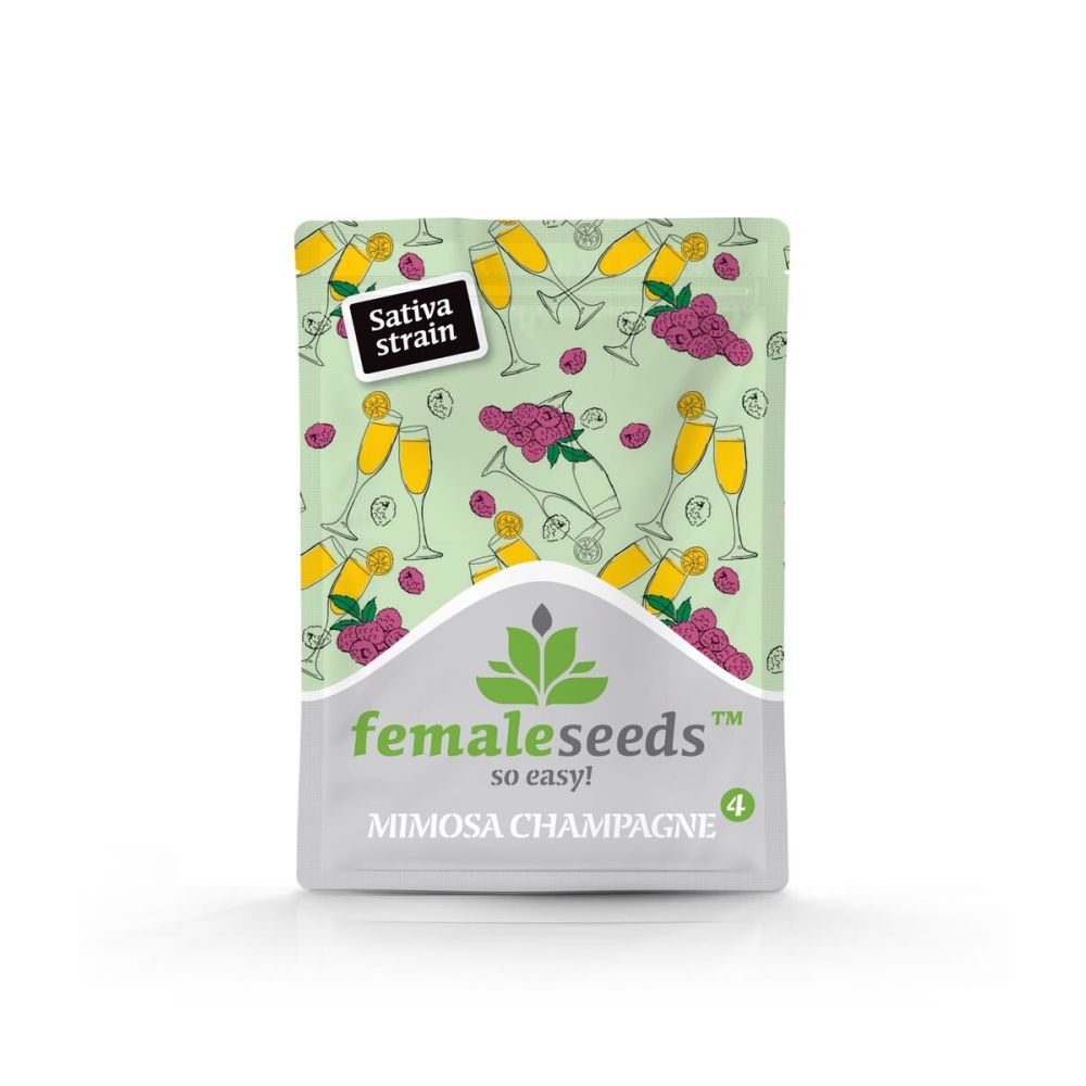 Female Seeds Mimosa Champagne feminisierte Hanfsamen Verpackung