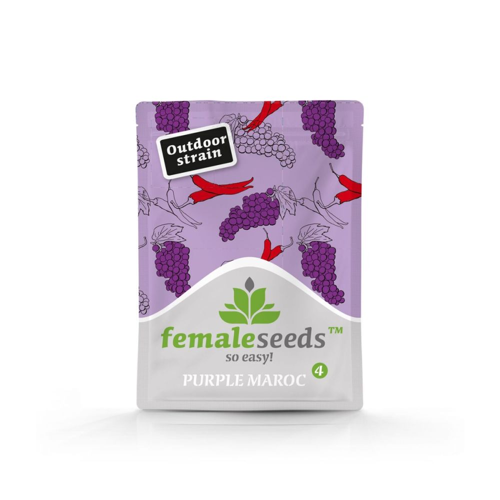Female Seed White Purple Maroc Feminisierte Hanfsamen Verpackung