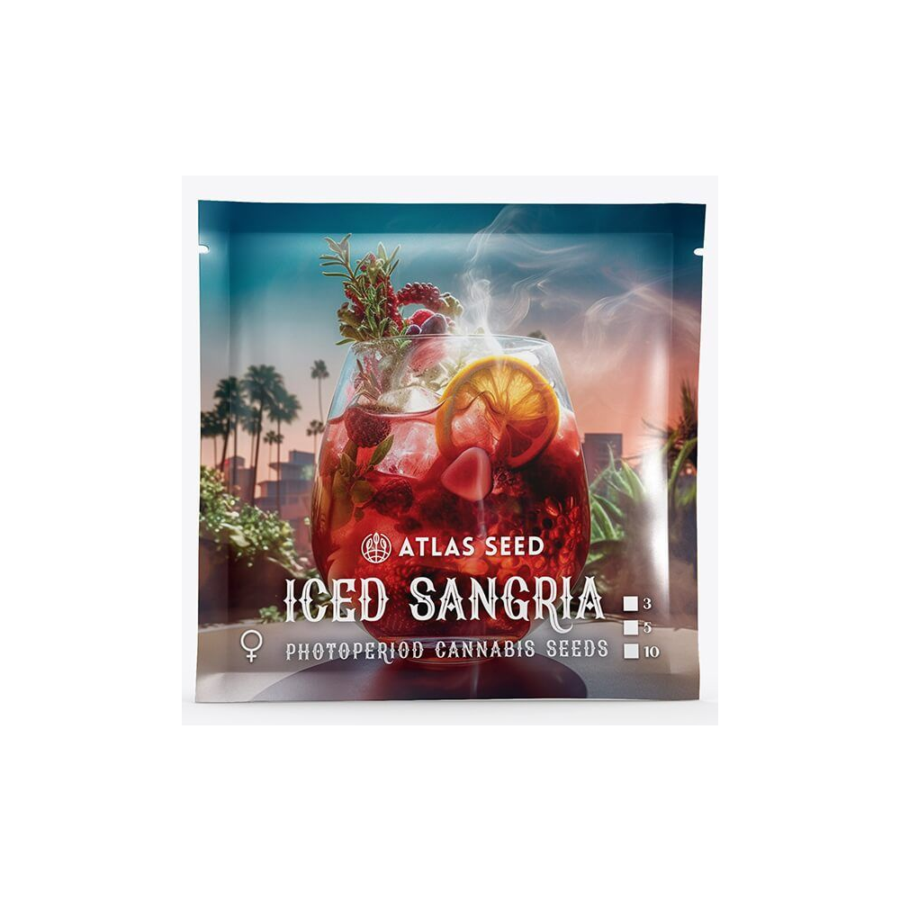 Atlas Seeds Iced Sangria Feminisierte Hanfsamenn