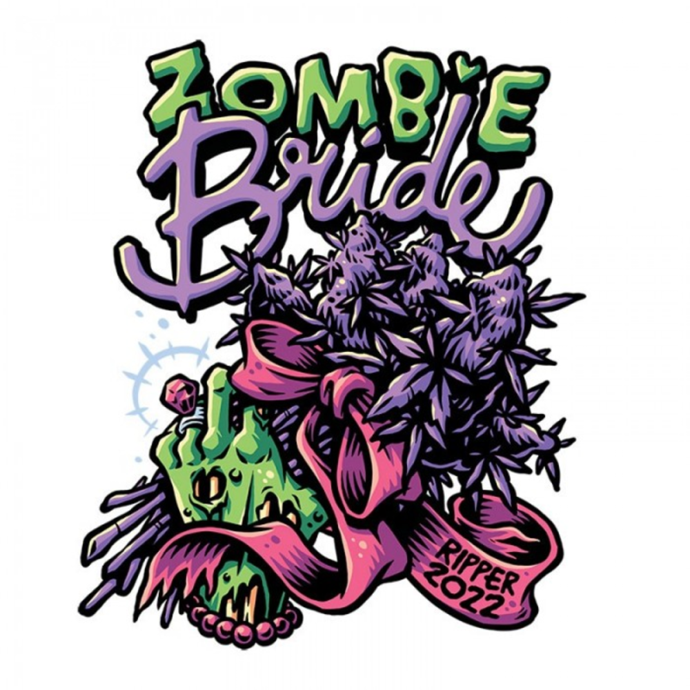 Ripper Seeds Zombie Bride Feminisierte Hanfsamen