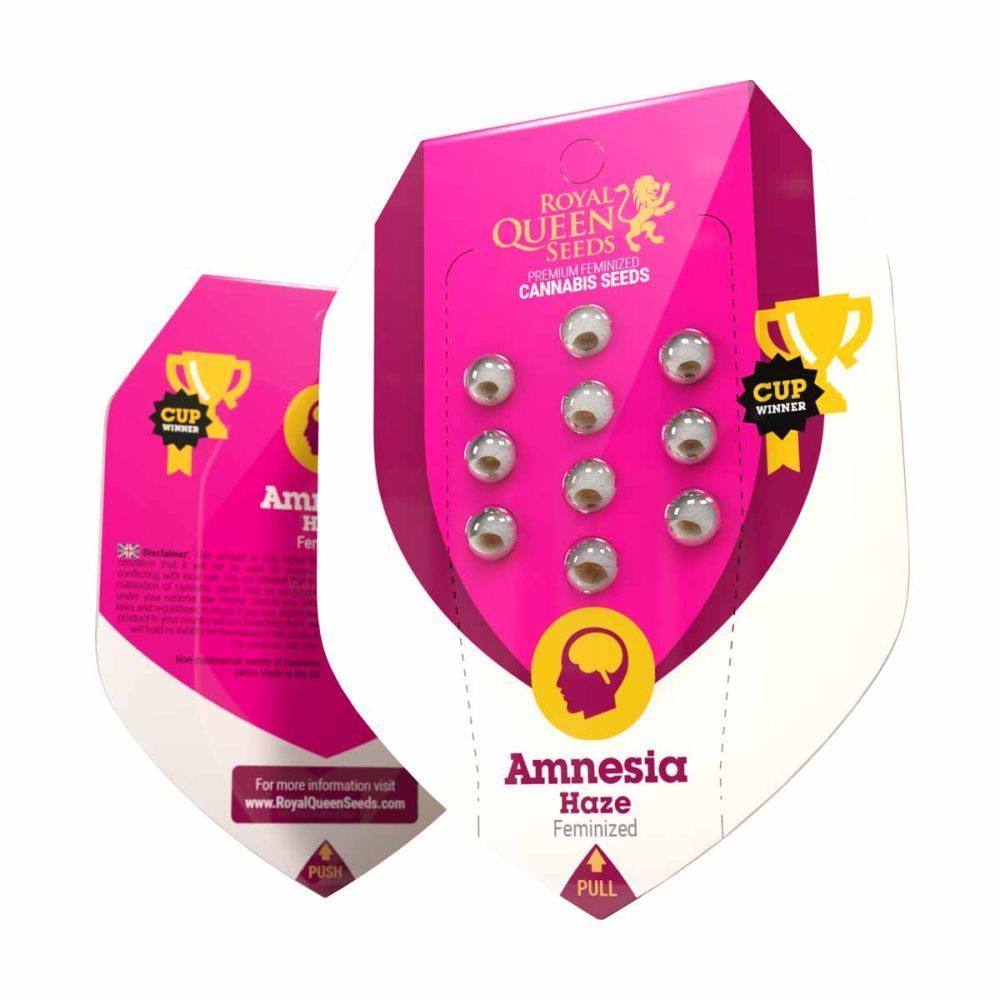 Royal Queen Seeds Amnesia Haze feminisierte Hanfsamen Verpackung
