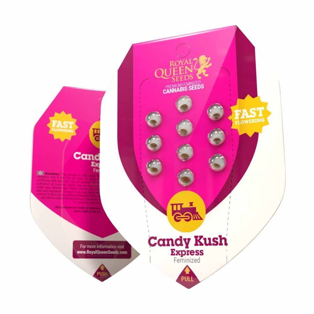 Royal Queen Seeds Candy Kush Express feminisierte Hanfsamen Verpackung