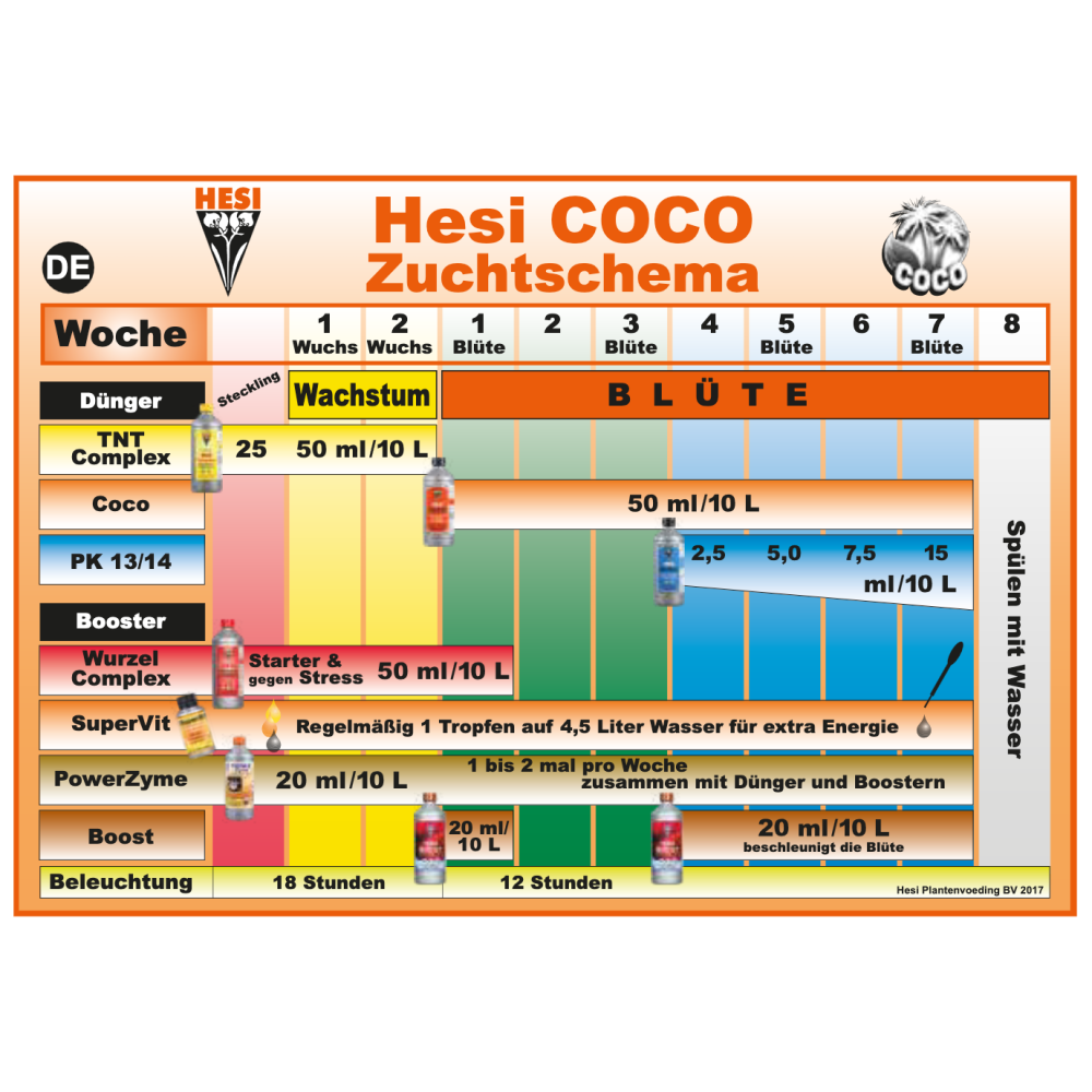 Hesi Coco Schema