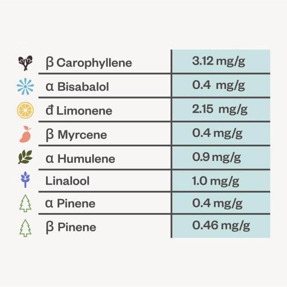 Seedsman Seeds Bubba Kush Feminisierte Hanfsamen Analyse
