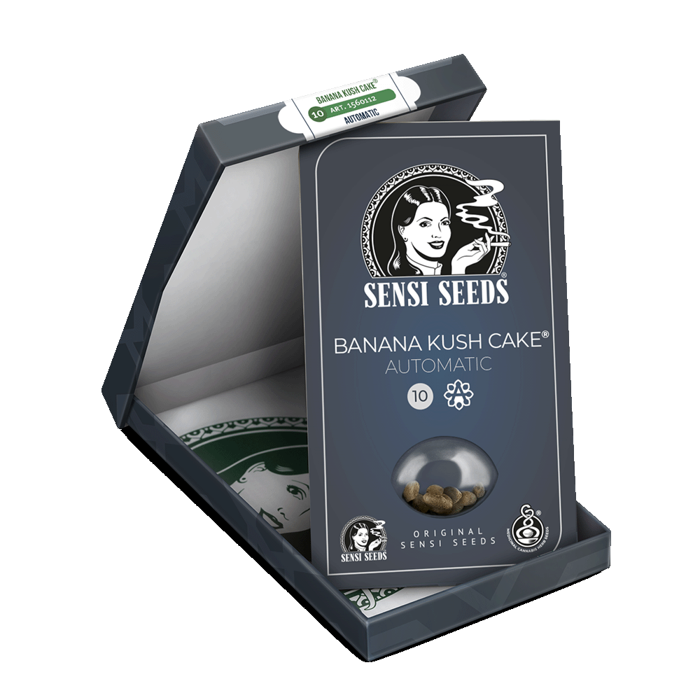 Sensi Seeds Banana Kush Cake automatic Hanfsamen Verpackung