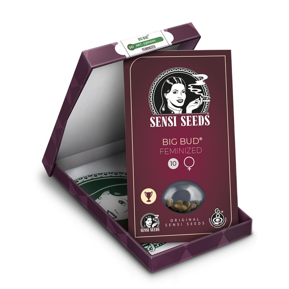 Sensi Seeds Big Bud feminisierte Hanfsamen Verpackung