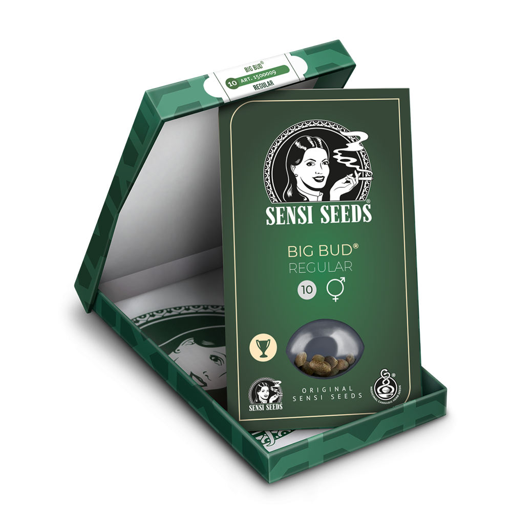 Sensi Seeds Big Bud reguläre Hanfsamen Verpackung