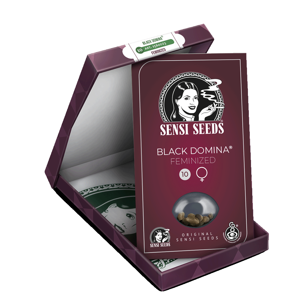 Sensi Seeds Black Domina feminisierte Hanfsamen Verpackung