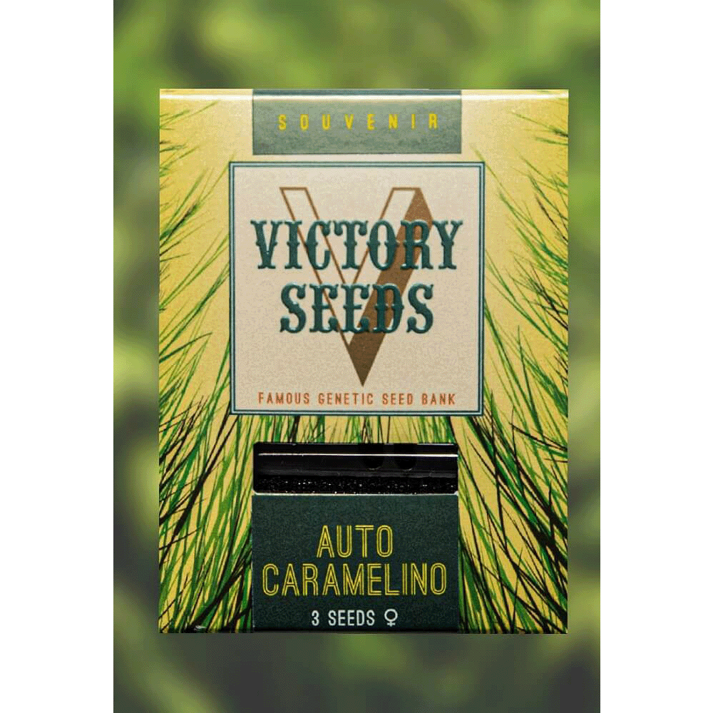 Victory Seeds Caramelino automatic Hanfsamen Verpackung