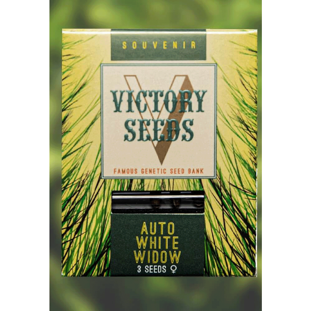 Victory Seeds White Widow automatic Hanfsamen Verpackung