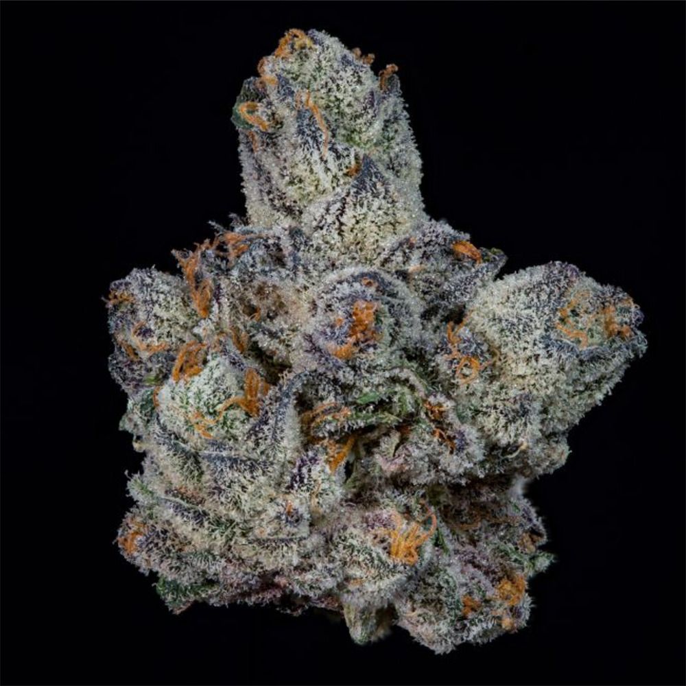 Wizard Trees Lemon Fever Feminisierte Cannabissamen