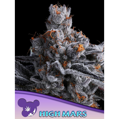 High Mars Feminisiert