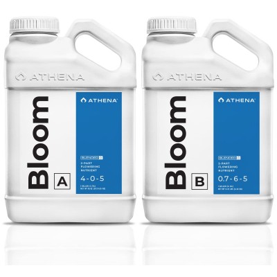 Athena Bloom A&B