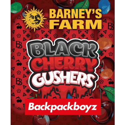 Black Cherry Gushers Feminisiert
