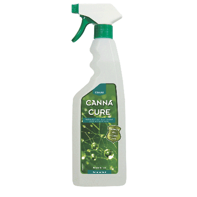 Canna Cure