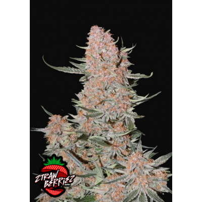 Ztrawberriez Auto