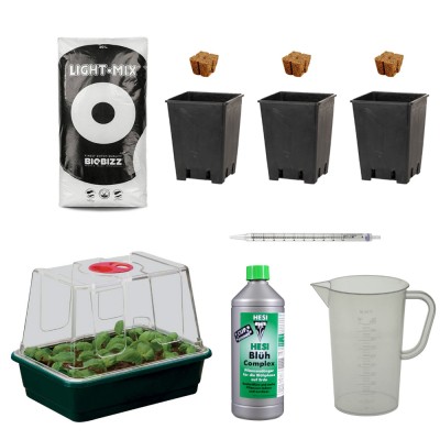 Fensterbank & Balkon Starter Box