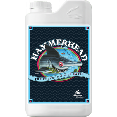 Hammerhead