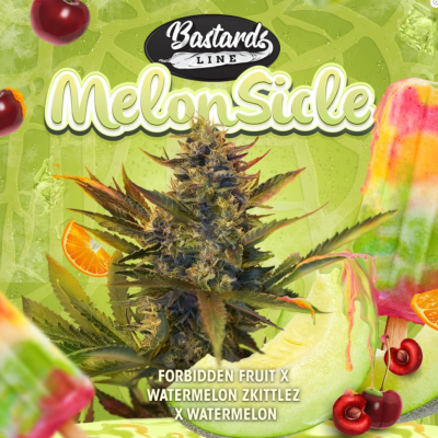 Melonsicle Feminisiert